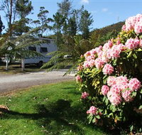 Zeehan Bush Camp  and Caravan Park