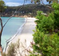 Weilangta Holiday Home - Accommodation in Bendigo