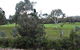 Bicheno Holiday Rentals - Hazards View Drive Coles Bay - thumb 1