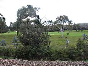 Bicheno Holiday Rentals - Hazards View Drive Coles Bay - Accommodation in Bendigo 1