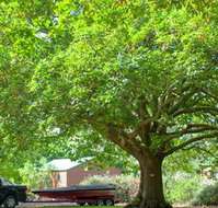 Lakes and Craters Holiday Park - Accommodation in Bendigo