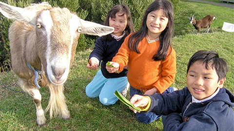 Johanna River Farm And Self Contained Cottages - Accommodation in Bendigo 0