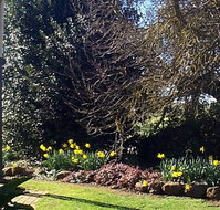 Abergeldie Bed  Breakfast - Accommodation in Bendigo