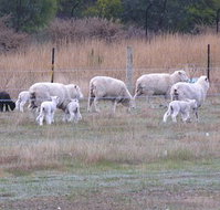 Auberge Woodend - Accommodation in Bendigo