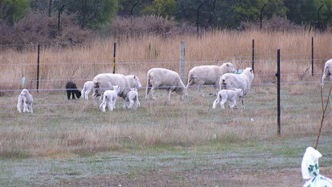 Auberge Woodend - Accommodation in Bendigo 0