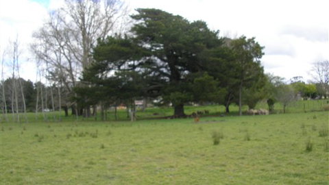 Auberge Woodend - Accommodation in Bendigo 3