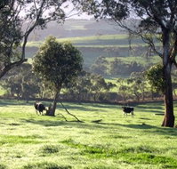 Bellevue Farmstay - Accommodation in Bendigo