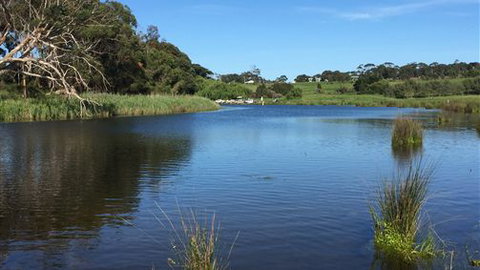Curdievale Riverfront Lodge - Accommodation in Bendigo 4