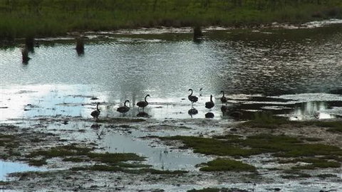 Curdievale Riverfront Lodge - Accommodation in Bendigo 6