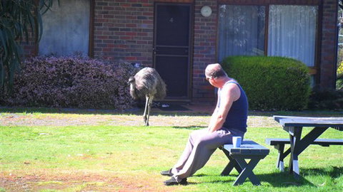 Halls Haven Resort - Accommodation in Bendigo 7