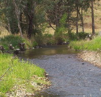 Murphy's Cabin - Accommodation in Bendigo