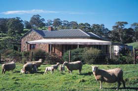 Amanda Stichbury Cottage - Accommodation in Bendigo 0