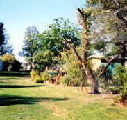 Condamine River Caravan Park - Accommodation in Bendigo