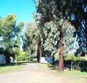 Cudal Caravan Park - Accommodation in Bendigo