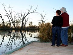 Kingston-On-Murray Caravan Park - Accommodation in Bendigo 2