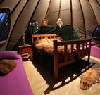 Aranyani Bison Adventure Tourist Park - Accommodation in Bendigo