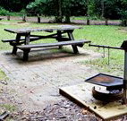 Bellbird campground - Accommodation in Bendigo