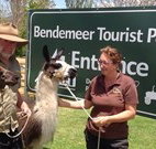 Bendemeer Tourist Park - Accommodation in Bendigo