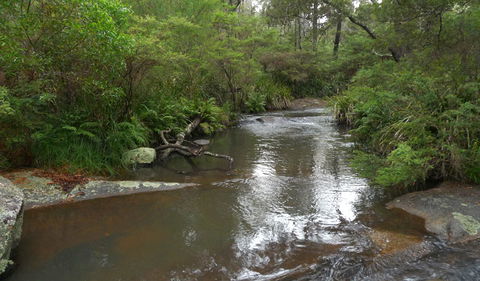 Chaelundi Campground - Accommodation in Bendigo 1