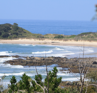 The Bowlo Holiday Cabins - Accommodation in Bendigo