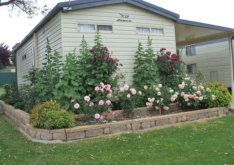 Walcha Caravan Park - Accommodation in Bendigo 3