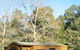 Wombeyan Caves Caravan & Camping Reserve - thumb 2