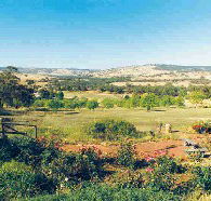 Pecan Hill Bed and Breakfast - Accommodation in Bendigo