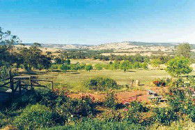 Pecan Hill Bed And Breakfast - Accommodation in Bendigo 0