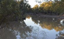 Four Mile Camping Reserve - Accommodation in Bendigo 0