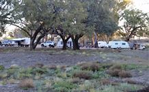 Four Mile Camping Reserve - Accommodation in Bendigo 1