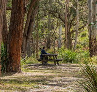 Koreelah Creek campground - Accommodation in Bendigo