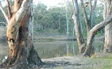Mclean Beach Holiday Park - Accommodation in Bendigo 5