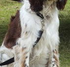 Merimbula Lake Holiday Park - Accommodation in Bendigo