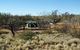 Olive Downs Campground - thumb 0