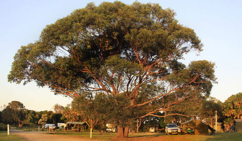 The Ruins Campground And Picnic Area - Accommodation in Bendigo 1
