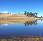 Bombala Maneroo Motel - Bombala - Accommodation in Bendigo