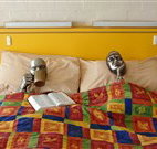 Budget Winchester Motel - Moree - Accommodation in Bendigo