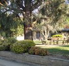 Hamilton Hume Motor Inn - Yass - Accommodation in Bendigo