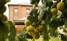 Imperial Fine Accommodation - Broken Hill - Accommodation in Bendigo 7