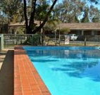 Matthew Flinders Motor Inn - Coonabarabran - Accommodation in Bendigo