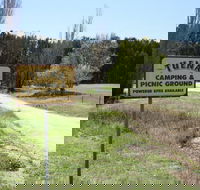 Tuena Camping and Picnic Ground - Accommodation in Bendigo