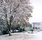 Maneroo Motel - Accommodation in Bendigo