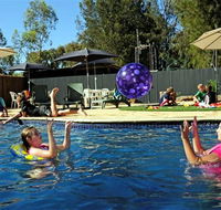 Kingston On Murray Caravan Park - Accommodation in Bendigo