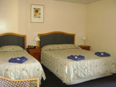 Mudgee Motor Inn - Accommodation in Bendigo 0