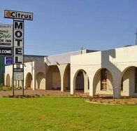 Citrus Motel - Accommodation in Bendigo