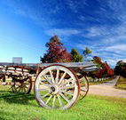 The Oaks Ranch and Country Club - Mossy Point - Accommodation in Bendigo
