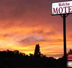 Walcha Motel - Walcha - Accommodation in Bendigo