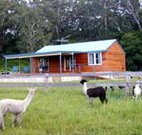 Moorallie Cottage Farm Stay - Accommodation in Bendigo