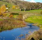 Ralda's Cottage - Accommodation in Bendigo