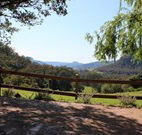 Cedar Grove -